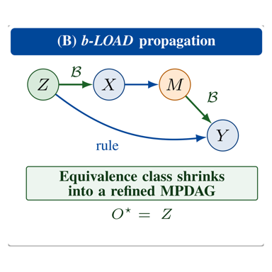 Knowledge-Informed Local Causal Discovery of Optimal Adjustment Sets
