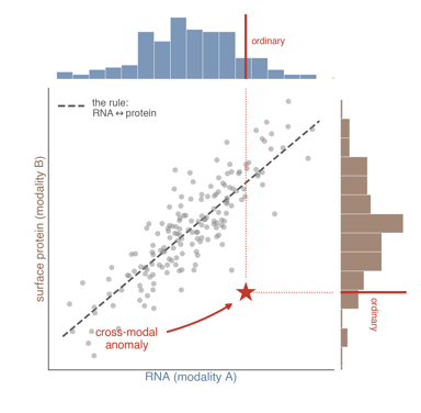 Single-Pass Conformal Cross-Modal Anomaly Screening with Tabular Foundation Models